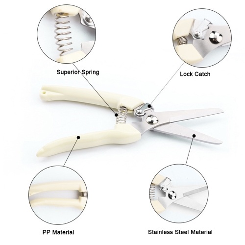 Portable Multi-Function Stainless Steel Pruning Shears Multipurpose White Hand Shank Orchard Shears
Portable Multi-Function Stainless Steel Pruning Shears Multipurpose White Hand Shank Orchard Shears