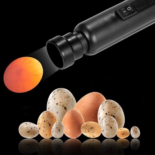 Bright Cool LED Light Egg Candler Tester Incubator Warehouse Exclusive Power by Power Supply Only
Bright Cool LED Light Egg Candler Tester Incubator Warehouse Exclusive Power by Power Supply Only