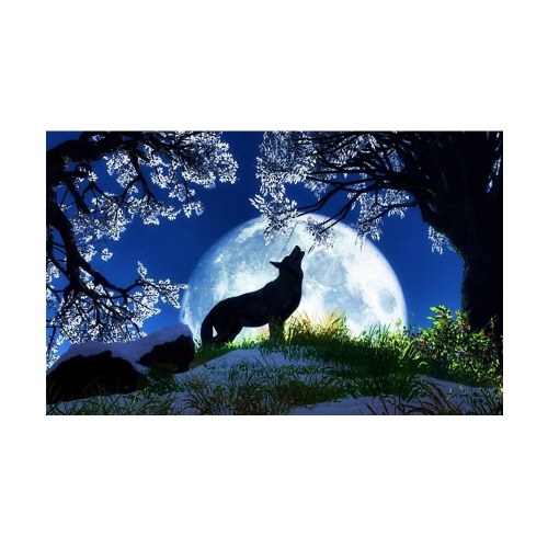 DIY 5D Diamond Painting Cross Stitch Full Drill Crystal Pictures Arts Craft for Home Wall Decor Gift
DIY 5D Diamond Painting Cross Stitch Full Drill Crystal Pictures Arts Craft for Home Wall Decor Gift