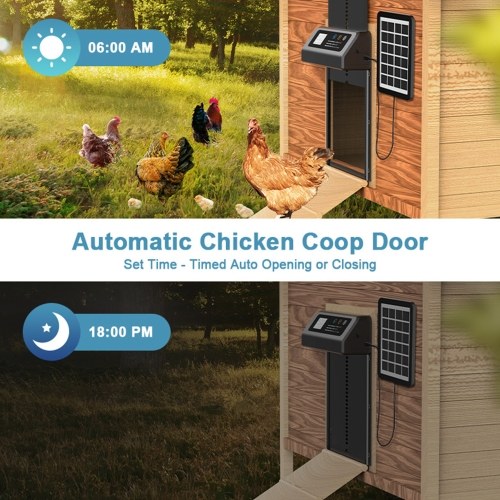 Automatic Chicken Coop Door with Remote Control Battery Operated LCD Display Chicken Door with Timer and Anti Pinch Sensor Waterproof Large Opening Aluminum Chicken Door
Automatic Chicken Coop Door with Remote Control Battery Operated LCD Display Chicken Door with Timer and Anti Pinch Sensor Waterproof Large Opening Aluminum Chicken Door