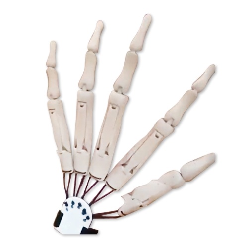 A Pair Black Simulated Skeleton Hand Flexible Finger Joint Halloween Party Decorative Props Secret Room Terror Props
A Pair Black Simulated Skeleton Hand Flexible Finger Joint Halloween Party Decorative Props Secret Room Terror Props