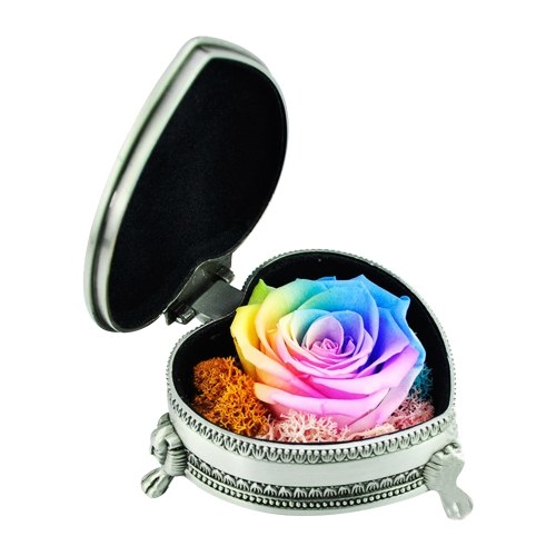 Preserved Real Rose Flower in Gift Heart-Shaped Box Eternal Rose Present for Women Mother's Day Valentine Romantic Wedding
Preserved Real Rose Flower in Gift Heart-Shaped Box Eternal Rose Present for Women Mother's Day Valentine Romantic Wedding