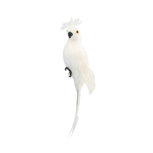 Artificial Parrot Wall Sculpture Decorative Simulation Foam Parrot Home Decoration Crafts Ornament Outdoor Garden Tree
Artificial Parrot Wall Sculpture Decorative Simulation Foam Parrot Home Decoration Crafts Ornament Outdoor Garden Tree