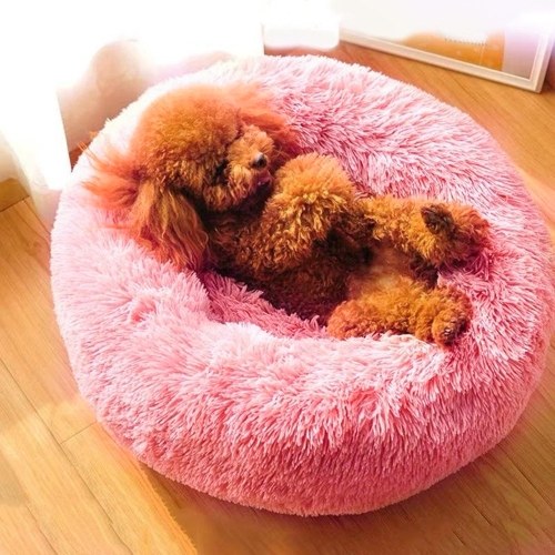 Cat and Dog Bed Donut Cat Dog Bed, Ultra Soft Faux Fur Cat Bed, Self Warming Cuddler Washable Round Pets Bed for Cats and Small Dogs
Cat and Dog Bed Donut Cat Dog Bed, Ultra Soft Faux Fur Cat Bed, Self Warming Cuddler Washable Round Pets Bed for Cats and Small Dogs