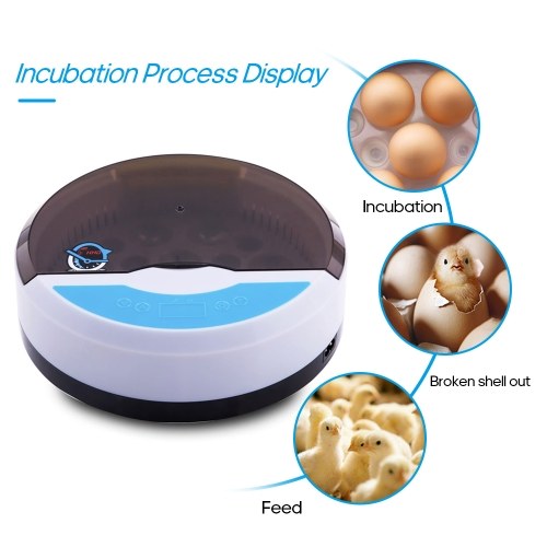 Digital Egg Incubator Hold 9 Eggs Automatic Poultry Hatcher for Chickens Ducks Birds Quail Eggs
Digital Egg Incubator Hold 9 Eggs Automatic Poultry Hatcher for Chickens Ducks Birds Quail Eggs
