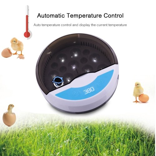 9 Eggs Digital Egg Incubator Auto Temperature Control LED Light for Observing Growth
9 Eggs Digital Egg Incubator Auto Temperature Control LED Light for Observing Growth