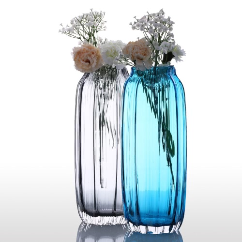 CASAMOTION 31cm Hand Blown Modern Ribbed Design Glass Vase Home Art Decoration Floral Arrangements Straight Shape
CASAMOTION 31cm Hand Blown Modern Ribbed Design Glass Vase Home Art Decoration Floral Arrangements Straight Shape