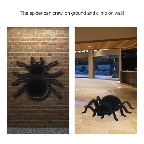 Radio Control RC Simulation Furry Electronic Spider Scary Scream Wall Climbing Spider Toy Kids Gift Halloween Surprise
Radio Control RC Simulation Furry Electronic Spider Scary Scream Wall Climbing Spider Toy Kids Gift Halloween Surprise