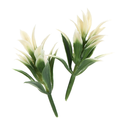 Artificial Aquatic Plastic Plant Ornaments Aquarium Fish Green Water Grass Landscape Decoration Style 1 Artificial Aquatic Plastic Plant Ornaments Aquarium Fish Green Water Grass Landscape Decoration Style 1