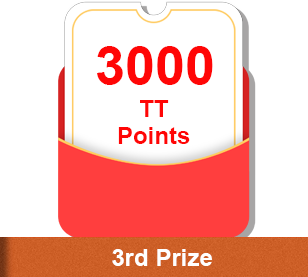 The third Prize