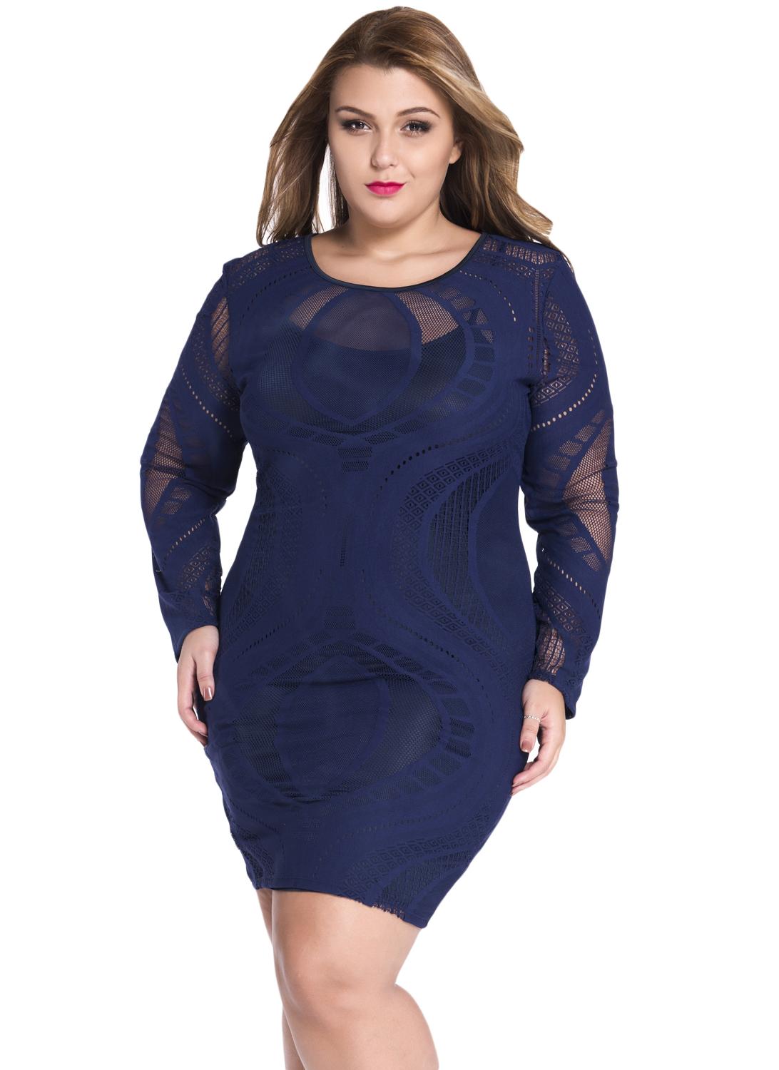 Lace Illusion Long Sleeves Plus Size Bodycon Dress