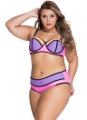 Rosa roxo vibrante Colorblock Plus tamanho Swimsuit