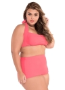 Halter Bandeau High Waist Plus Size Swimwear