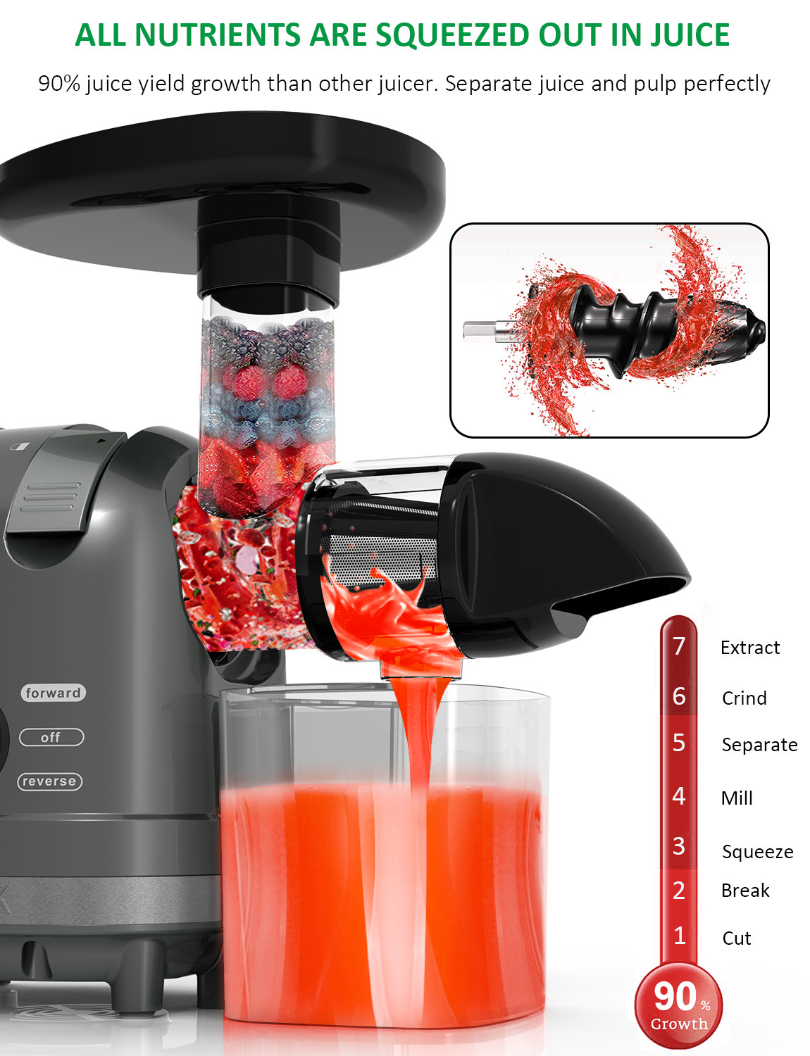 Homgeek Juicer