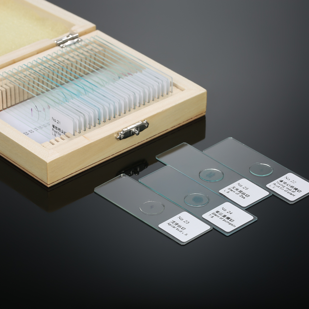 KKmoon 25pcs/set Prepared Microscope Slides Animal Plants Insects ...