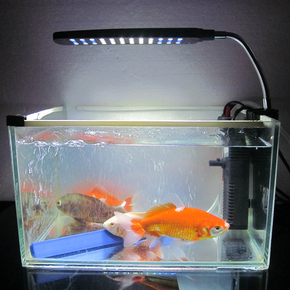 Aquarium Fish Tank Water Plant 48 Leds 3w Clip Light Lovdock Com Aquarium Fish Tank Water Plant 48 Leds 3w Clip Light