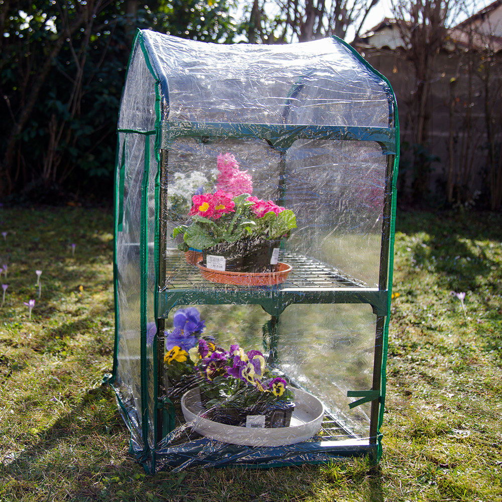 Mini Serre de jardin botanique 2 étagères 69x49x95cm + une housse PVC