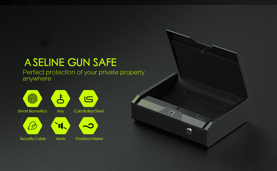 Biometric Lock Box