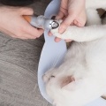 Illuminated Cat Pet Nail Clippers Cat Claw Trimmer Cat Nail Scissor Cat Nail Cutter Features LED Light 5X Magnification