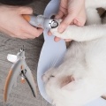 Illuminated Cat Pet Nail Clippers Cat Claw Trimmer Cat Nail Scissor Cat Nail Cutter Features LED Light 5X Magnification