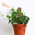 2Pcs 450mm Coir Totem Pole