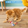 Tease Cat Pen Flashlight Toy