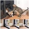 Pet Screen Door