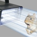 Attic Squirrel Repellent Flashing Strobe Light Speed Control Animal Friendly