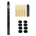 （Straight mouth）Pocket Sax Mini Portable Saxophone Little Saxophone With Carrying Bag Woodwind Instrument