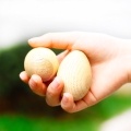 Wooden Maracas Egg Shakers Musical Percussion Instrument Eggs 2pcs