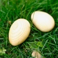 Wooden Maracas Egg Shakers Musical Percussion Instrument Eggs 2pcs