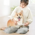 Pawbby Pets Hair Trimmer Dog Cat Shaver With 4 AAA Battery
