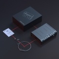 Biometric Lock Box