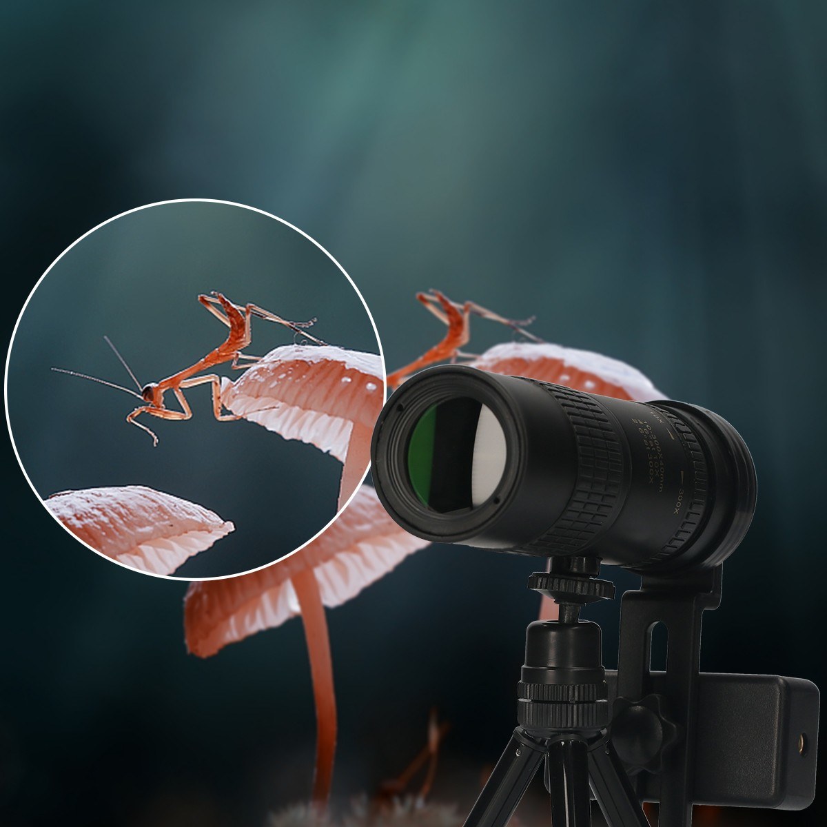 detailImage