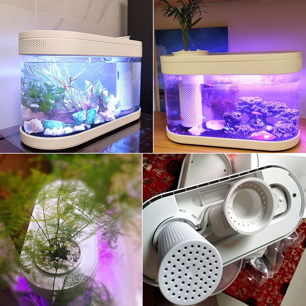 Youpin Desgeo ökologisches Goldfischbecken Wohnzimmer Home Desktop Kleines Symbiosesystem Blume Muzy Lazy Aquarium Led Bunte Fischbox Mit Sauerstofffilterpumpenset