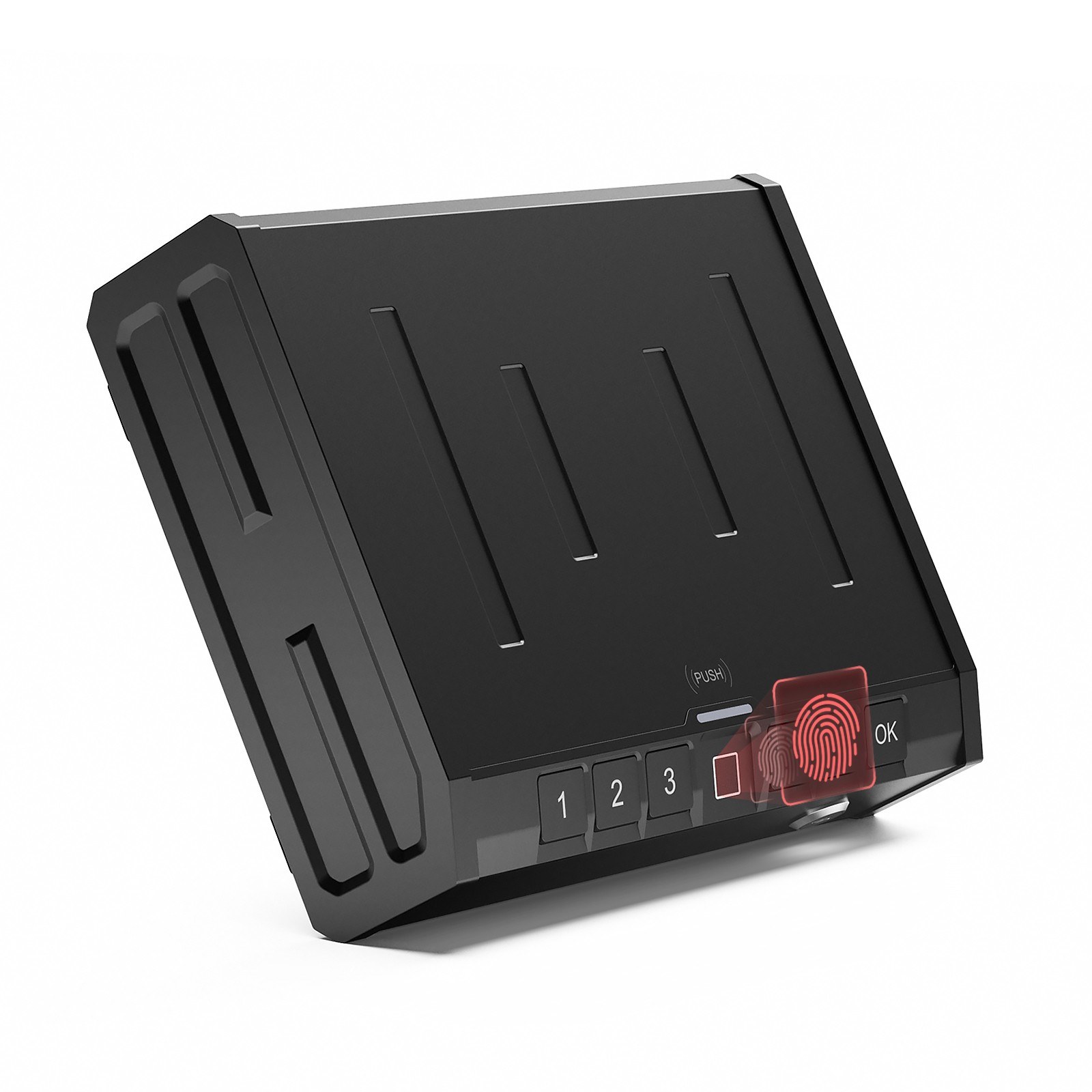 Biometric Lock Box