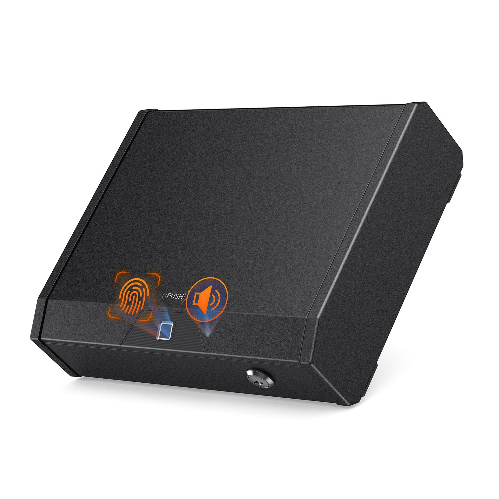 Biometric Lock Box