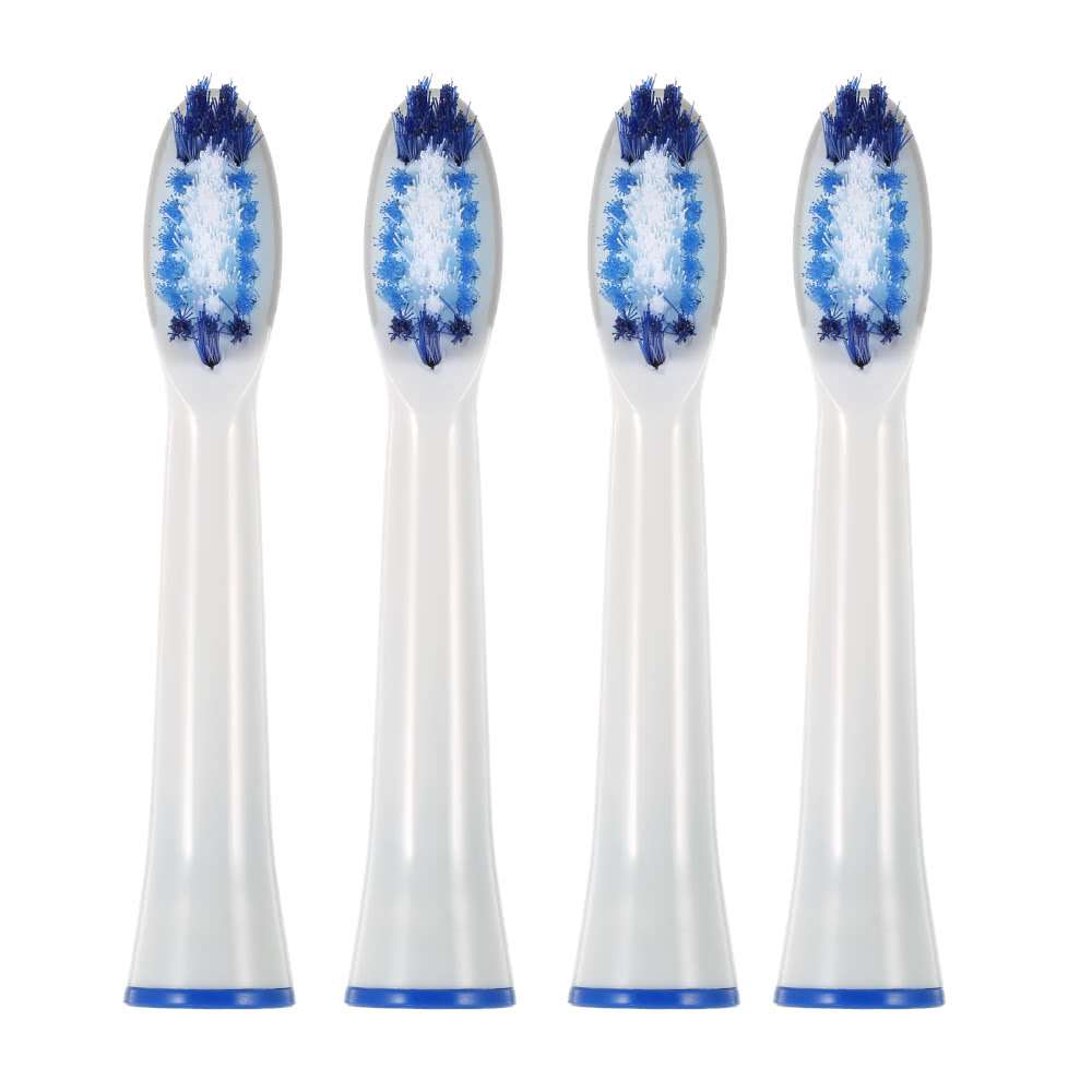 Fjernbetjening pro sonic replacement brushes Fjernbetjening pro sonic replacement brushes the charlotte hornets