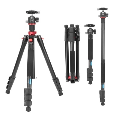 CAVIX AT2542 62.2 Inch Foldable Tripod Camera Stand with Ball Head