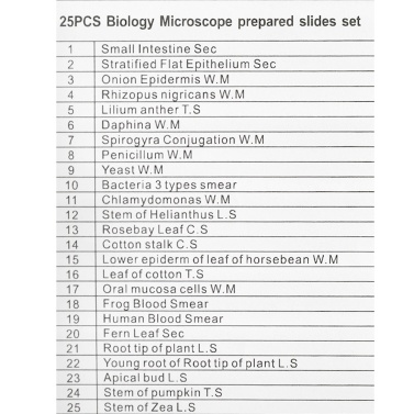 25PCS/Set Biological Glass Sample Prepared Basic Animal Plants Insects Tissues Science Specimen Cover Slips Portable Educational Microscope Slides