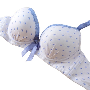 Sexy Women Girls Bra Animal Print Lace Bow 3/4 Cups Push Padded Adjustable Straps Underwire Lingerie Underwear Blue/Pink/Purple