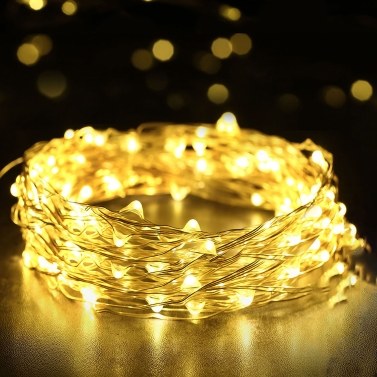 String Lights 33ft with 100 LEDs (EU Plug)