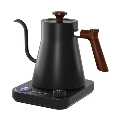 Electric Gooseneck Kettle 1200W Powerful and Fast Water Boiler Stainless Steel Inner NTC Temperature Control LCD Display Auto Shut Off 0.9L Pour Over Coffee and Tea Kettle