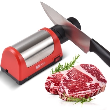 2 Stage Electric Knife Sharpener for Kitchen Knives Ceramic Knives with 600/1000 Grit Sharpening Stone and Replaceable Sharpening Head Portable Auto Knife Sharpener Tool