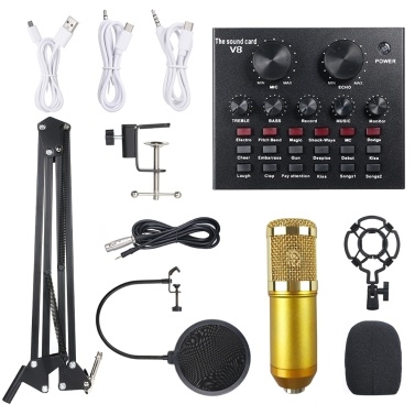 Multifunctional Live Sound Card & BM800 Suspension Microphone Kit