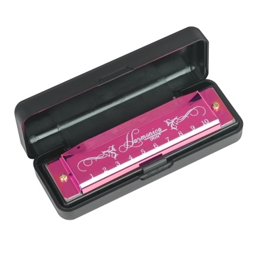 IRIN 10-Hole Harmonica Key of C 20-Tone Musical Gift with Storage Case for Beginner Student