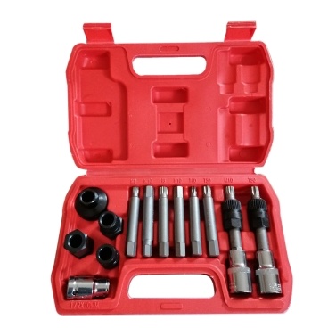 13 Pcs Alternator Pulley Tool Kit with Storage Case
