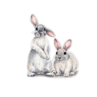 1PCS Two Bunnies Sticker Cute Lovely Rabbits 3D Removable Wall Sticker Home Decor Car Body Sticker Vinyl Large Size 15.4*11.8in