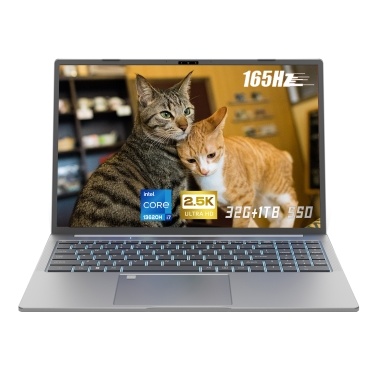 Ninkear N16 Pro Laptop 16 Inch 165Hz IPS Screen 2560*1600 Display 32GB DDR4 1TB SSD Windows 11 Laptop with 13TH Gen Intel Core '' i7 processor WiF i6 BT5.0 Fingerprint Unlock