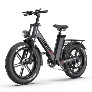 PHNHOLUN C6 Pro Electric Bike 20*4.0 inch Low-Pressure Fat Tires 750W Motor 48V 17Ah Detachable Battery 50KM Range IP76 Waterproof